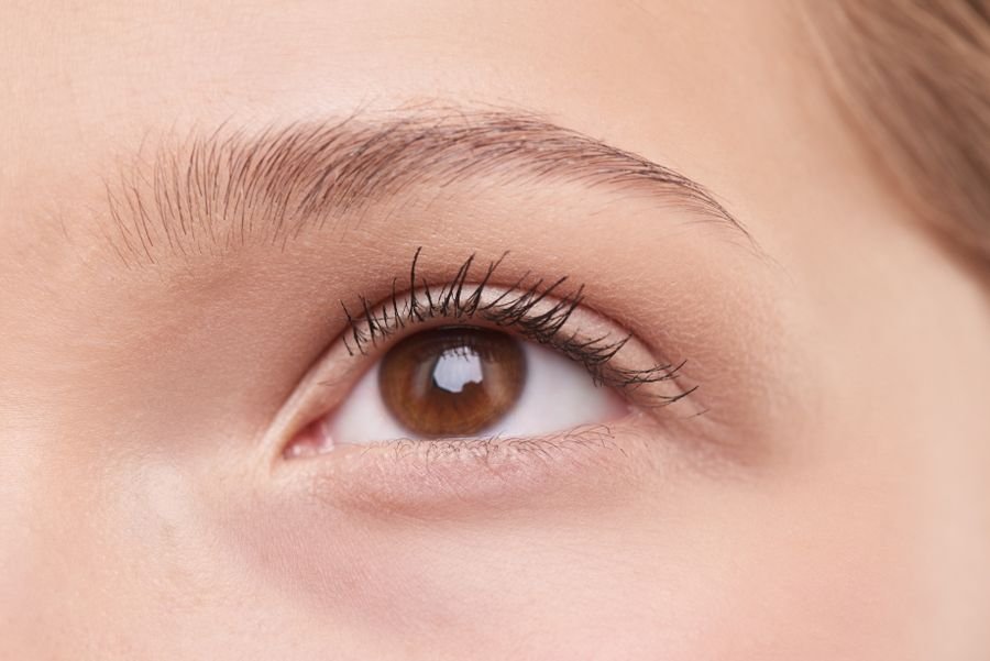 Lash & Brow